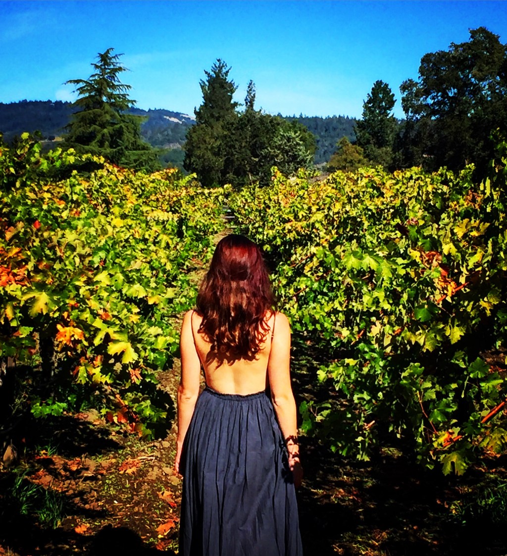 🇺🇸 Napa Valley, California