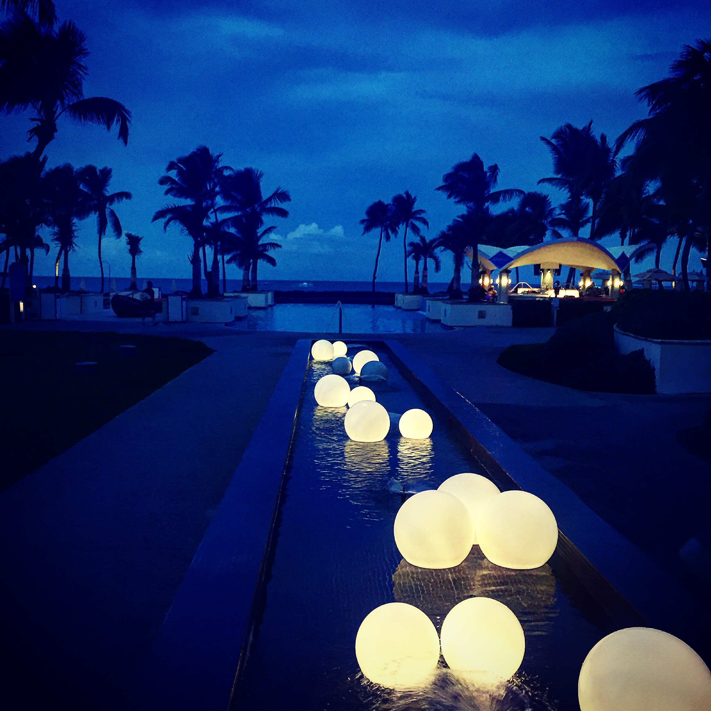 Palms and illuminated lights at dusk in Puerto Rico