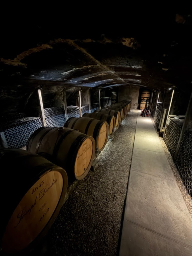 Wine barrels beneath vaulted stone ceilings at Joseph Drouhin